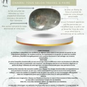 Fiche technique Labradorite