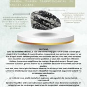 Fiche technique Obsidienne flocon de neige